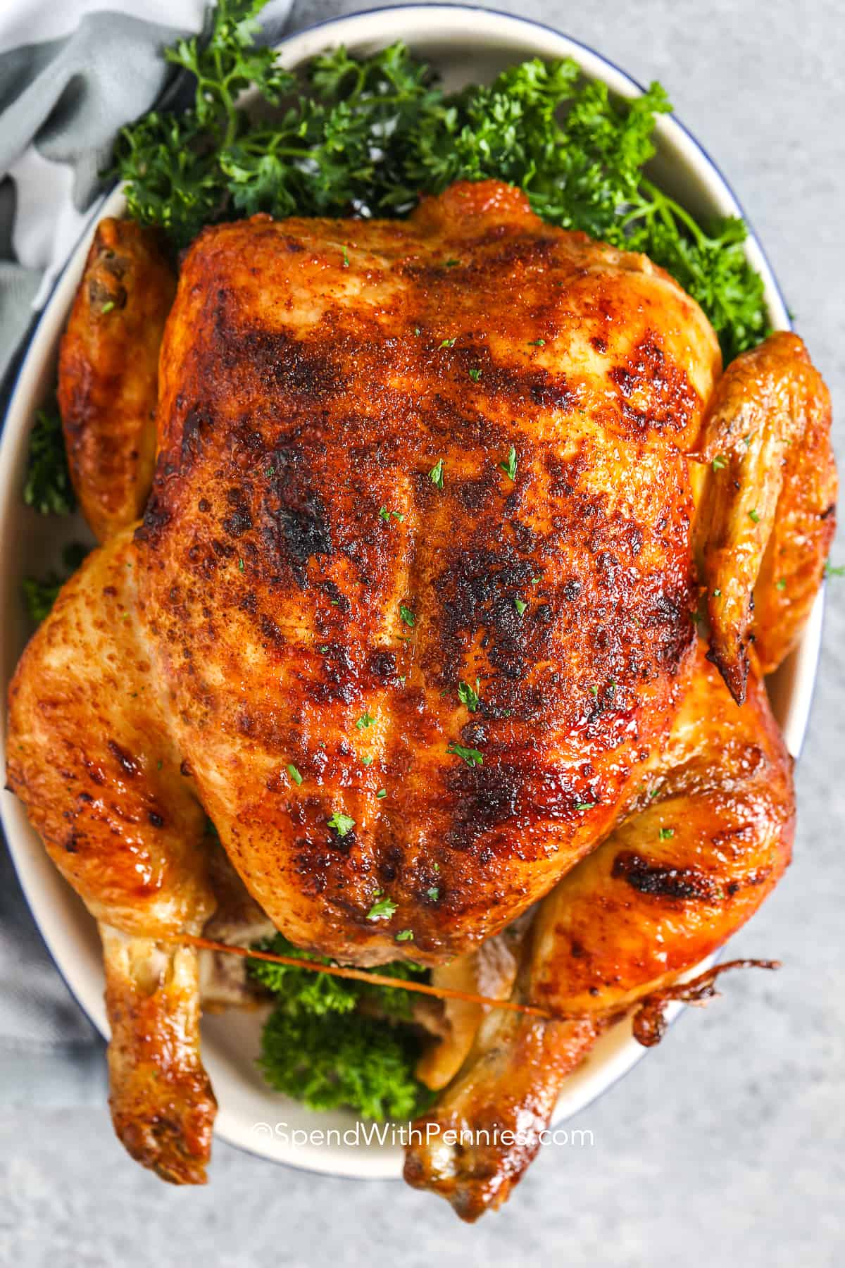 cám gà đá chicken gold