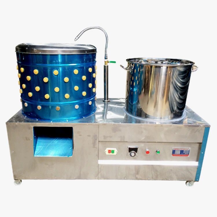 trại gà đá ngày 11 tháng 2 năm 2019 trại gà đá ngày 11 tháng 2 năm 2019